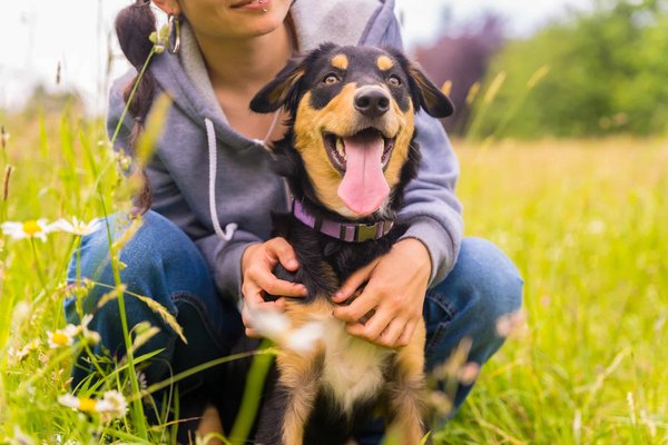 les avantages d'une piscine à débord