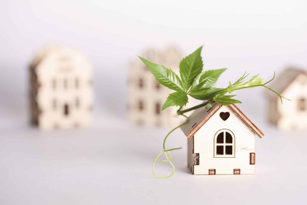 La rénovation énergétique : une solution pour réduire vos factures ?