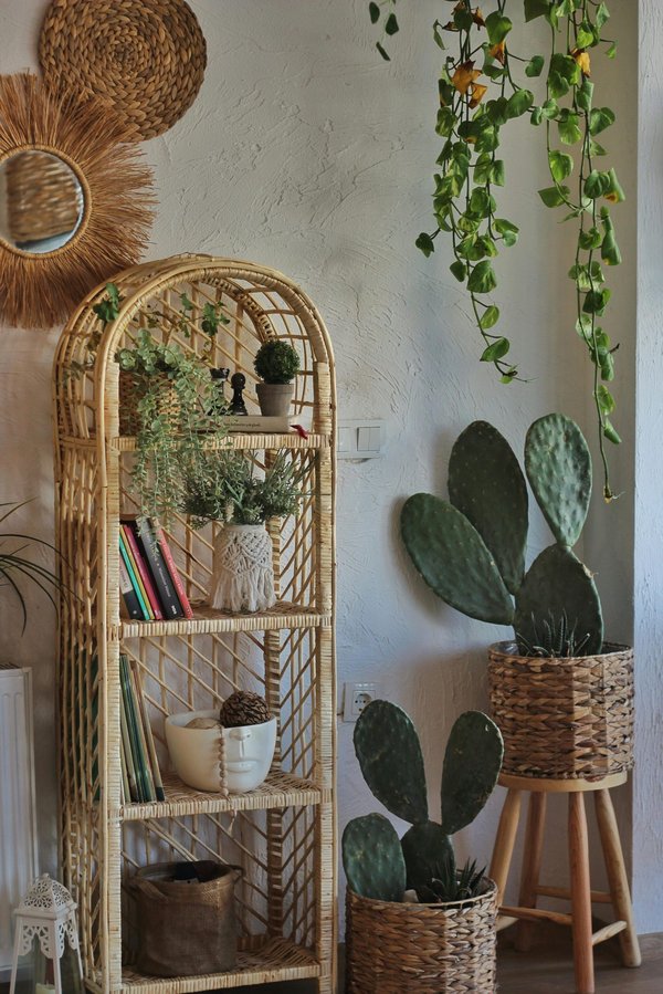 Éveillez votre intérieur avec une décoration murale naturelle